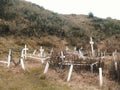 Graveyard in Puerto de Hambre, Punta Arenas, Chile with Pringles Stokes grave surrounded by greenery