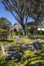 Graveyard at St. Michaels Mount in Cornwall, UK Royalty Free Stock Photo
