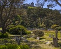 Graveyard at St. Michaels Mount in Cornwall, UK Royalty Free Stock Photo