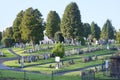 Graveyard and stone tombs on hill during summer and clear sky London UK