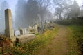 graveyard in transylvania Royalty Free Stock Photo