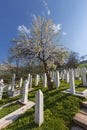 Graveyard with white tombstones of the Bosnian war victims