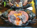 Gravid crab fermented with fish sauce