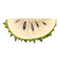 Graviola soursop icon cartoon vector. Juice fruit