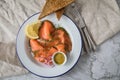 Gravlax a raw, marinated graved salmon with dill on enamel plate with toast bread, Scandinavian mustard sauce, lemon, onion rings Royalty Free Stock Photo