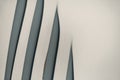 gray abstract background from curved lines of geometric shapes Royalty Free Stock Photo