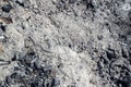 Gray ash on the ground from a fire in nature, coal, gray ash from firewood from a fireplace. Royalty Free Stock Photo