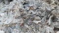 Gray ash from the oven background texture, cinder, grey ashes from the wood from the fireplace Royalty Free Stock Photo