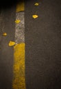 A gray asphalt road painted with a yellow-white dividing line with autumn leaves lying on it. Creative concept.