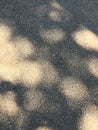 Gray asphalt texture with sunspots
