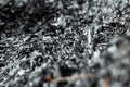 Gray background ashes, burned plants, abstract texture of coals and ashes. Macro shot Royalty Free Stock Photo