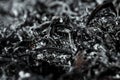 Gray background ashes, burned plants, abstract texture of coals and ashes. Macro shot Royalty Free Stock Photo