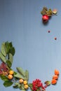 Gray background autumn leaves fruit pomegranate z Royalty Free Stock Photo