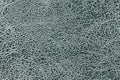 Gray background from a soft upholstery textile material, closeup Royalty Free Stock Photo