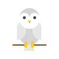 Gray barn owl, halloween character set icon, flat design