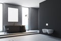 Gray bathroom corner, poster Royalty Free Stock Photo