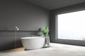 Gray bathroom corner, white tub Royalty Free Stock Photo