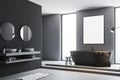 Gray bathroom interior, poster, side Royalty Free Stock Photo