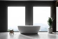 Gray bathroom interior, two windows Royalty Free Stock Photo