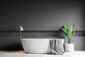 Gray bathroom interior, white tub Royalty Free Stock Photo