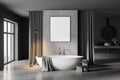 Gray bathroom with tub, poster and sink Royalty Free Stock Photo