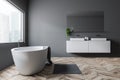 Gray bathroom, tub and sink, side view Royalty Free Stock Photo