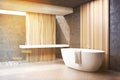 Gray bathroom, white tub, side, toned Royalty Free Stock Photo