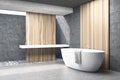 Gray bathroom, white tub, side Royalty Free Stock Photo