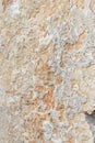 Gray-beige stone texture. Rock. Stone background. Relief surface. Beautiful natural pattern on the plane. Raster image