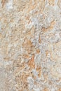 Gray-beige stone texture. Rock. Stone background. Relief surface. Beautiful natural pattern on the plane. Raster image