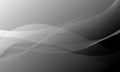 gray black gradient with business lines wave curves technology abstract background Royalty Free Stock Photo