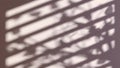 Gray blinds and trees shadow game silhouette effect Royalty Free Stock Photo