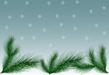 Gray-blue background with white snowflakes and Christmas pine br