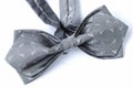 A gray bow tie Royalty Free Stock Photo