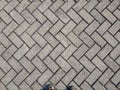 Gray Brick Stone Pavement. Pavement in Vintage Design Ground Flooring Square Pattern Texture Background Royalty Free Stock Photo