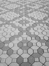 Gray brick walkway Royalty Free Stock Photo