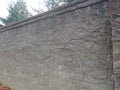 Gray Brick wall with Winter Vines Growing