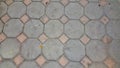 Gray bricks paving stones