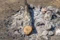 Gray and brown big stones and birch trunk for a bonfire are in a fireplace in the forest Royalty Free Stock Photo