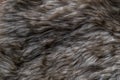 Gray Brown Faux Wolf Fur Texture Background Royalty Free Stock Photo