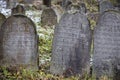 Gray and brown gravestones in an old Jewish cemetery in the Carpathian mountains. Hebrew inscriptions on tombstones. Jewish Royalty Free Stock Photo