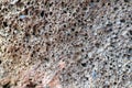 Gray-brown large-pore stone. Royalty Free Stock Photo
