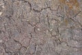 gray brown natural texture from dry earth with cracks Royalty Free Stock Photo