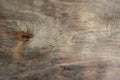 Gray-brown plywood, wooden old background with scuffs in the style of grunge, old fashion. Dark and brutal. Royalty Free Stock Photo