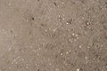 Gray brown sand with splashes of light pebbles