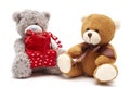 Gray and Brown Teddy Bears Isolated