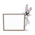 Gray bunny look behind board isolated background