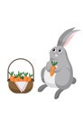 Gray bunny rabbit with basket full of carrots.