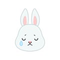 Cute crying bunny face