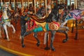 Gray Carousel Horse with black mane Royalty Free Stock Photo